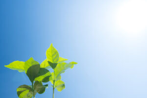 ウェブサイトリニューアルのお知らせ